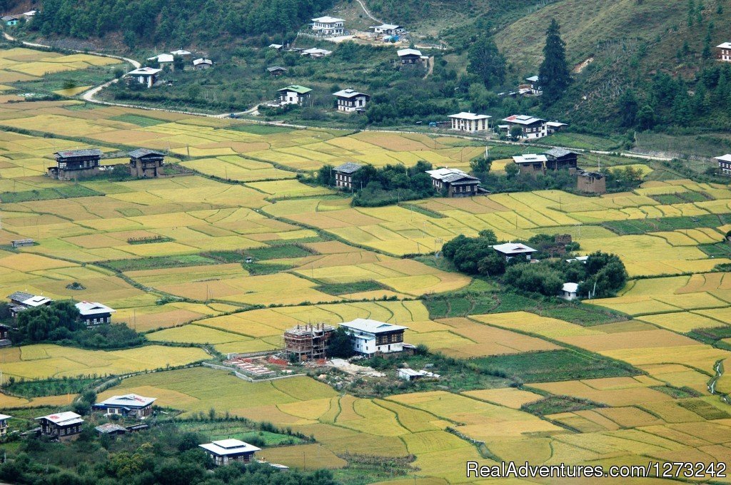 Bhutan Travel Service | Image #6/10 | 