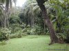 Private Tropical Fjord Beach Primary Rainforest | Rincon de Osa, Costa Rica