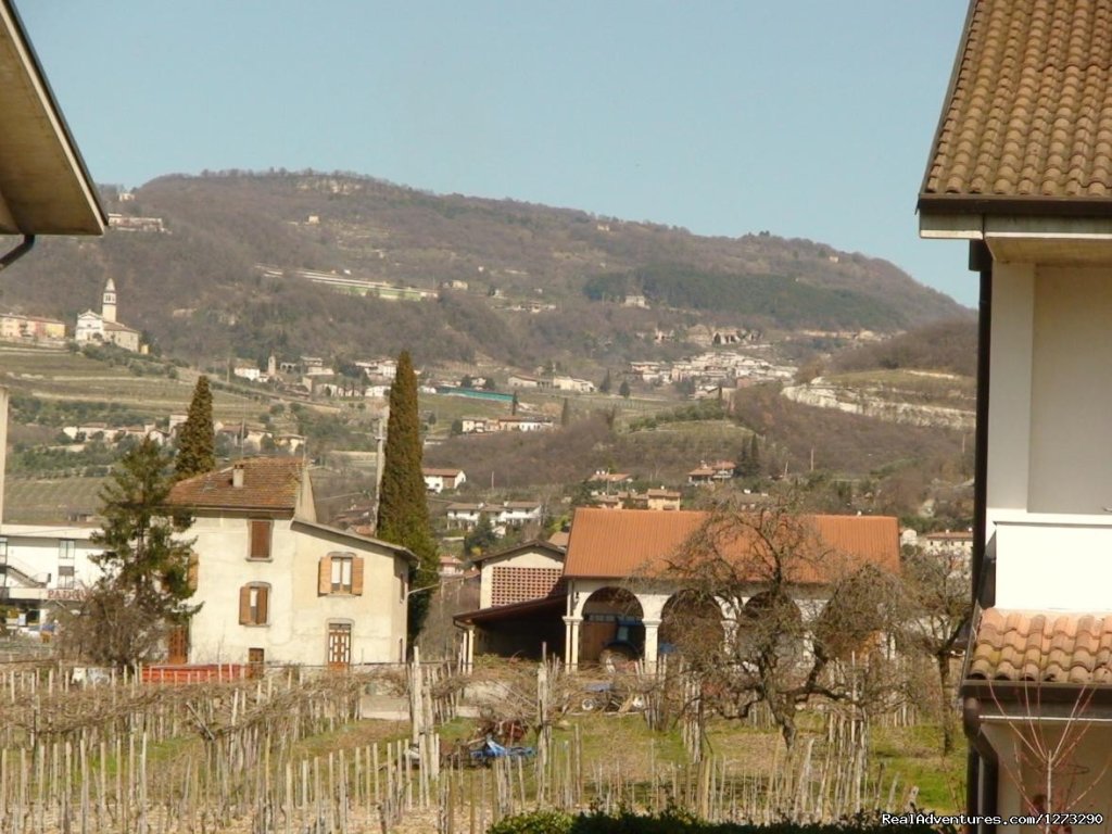 view from Mario Apartment | Mario Apartment -Valpolicella wine region | Verona, Italy | Vacation Rentals | Image #1/6 | 