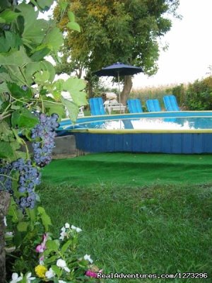 Nice atmosphere, unique opportunity at Balaton | Ordacsehi, Hungary Bed & Breakfasts | Slovenia Bed & Breakfasts