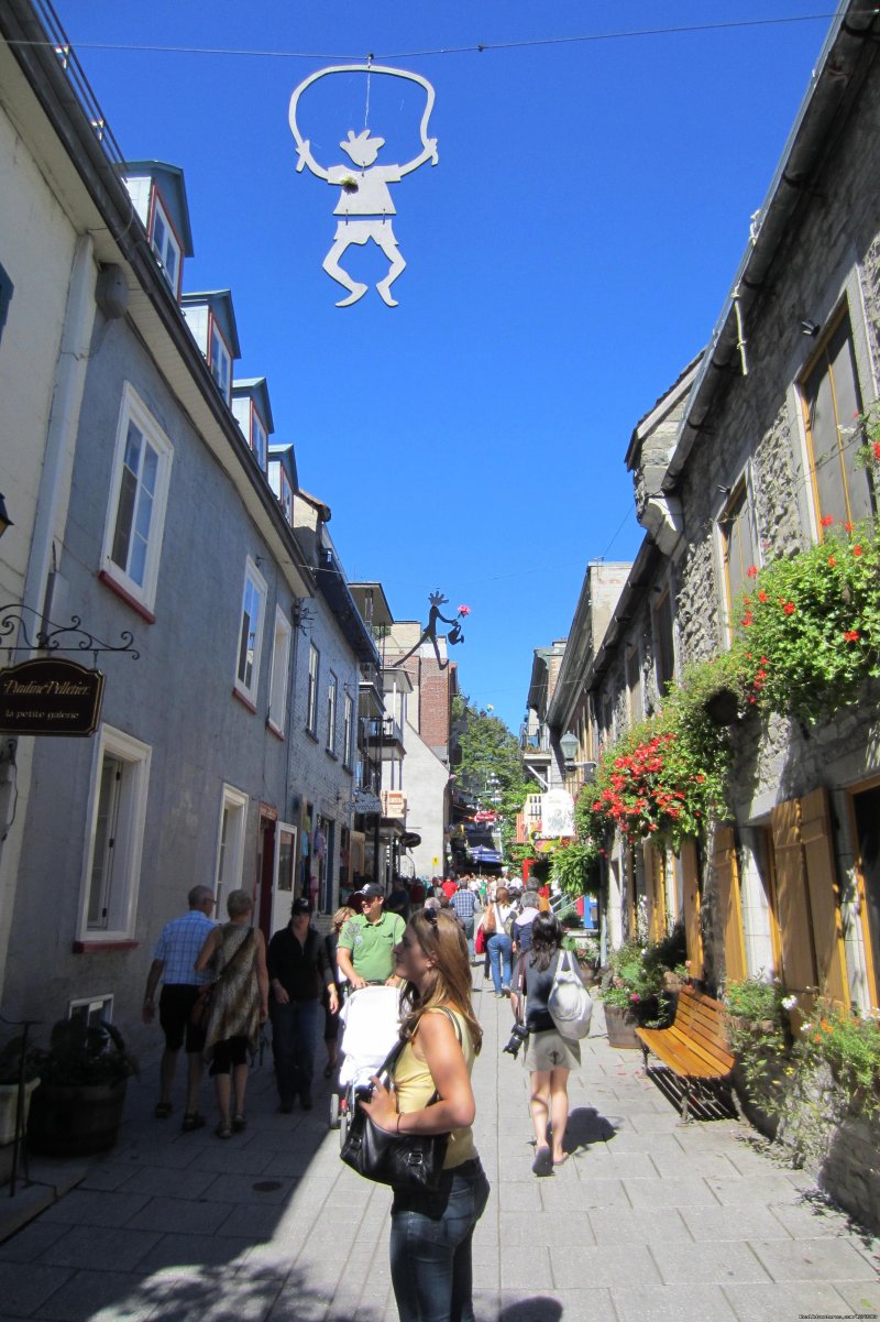 Quebec: Bas-Saint-Laurent Bike - Freewheeling Adv. | Image #11/11 | 
