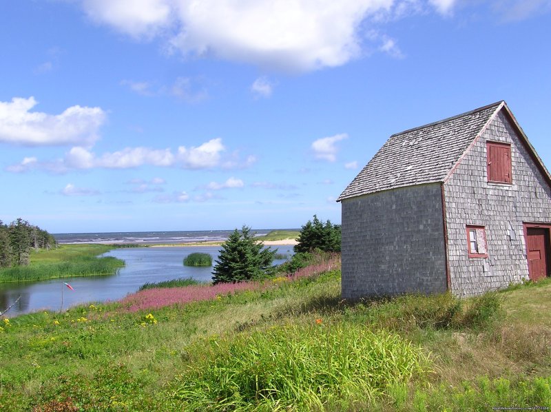 Quebec: Magdalen Islands Multisport - Freewheeling | Image #5/15 | 