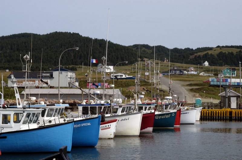 Quebec: Magdalen Islands Multisport - Freewheeling | Image #6/15 | 