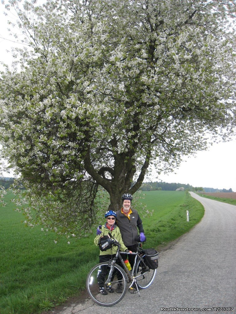 Czech: Vienna to Prague Bike - Freewheeling Adv. | Image #6/10 | 