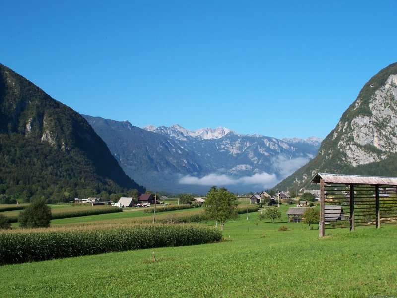 Slovenia: Alps to the Adriatic Bike - Freewheeling | Image #11/15 | 