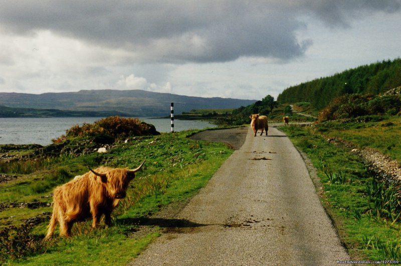 Scotland: West Coast Bike - Freewheeling Adventure | Image #15/20 | 