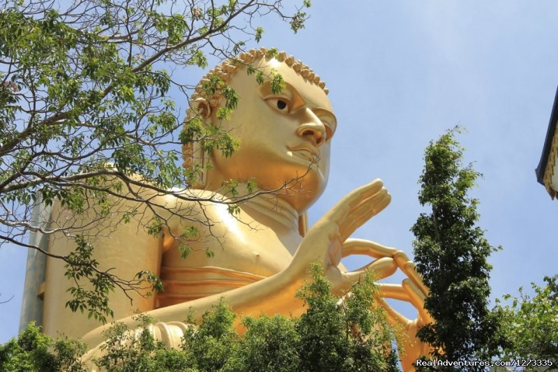 Haniffas Holidays & Tours - Sri Lanka | Haniffas Holidays & Tours | Image #10/24 | 