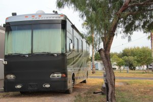 Spend Winter In The Sun At Oleander Acres Resort | Mission, Texas Campgrounds & RV Parks | New Braunfels, Texas