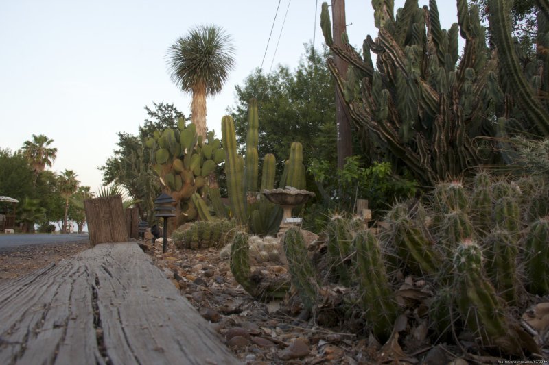 Cactus Garden | Spend Winter In The Sun At Oleander Acres Resort | Image #2/7 | 