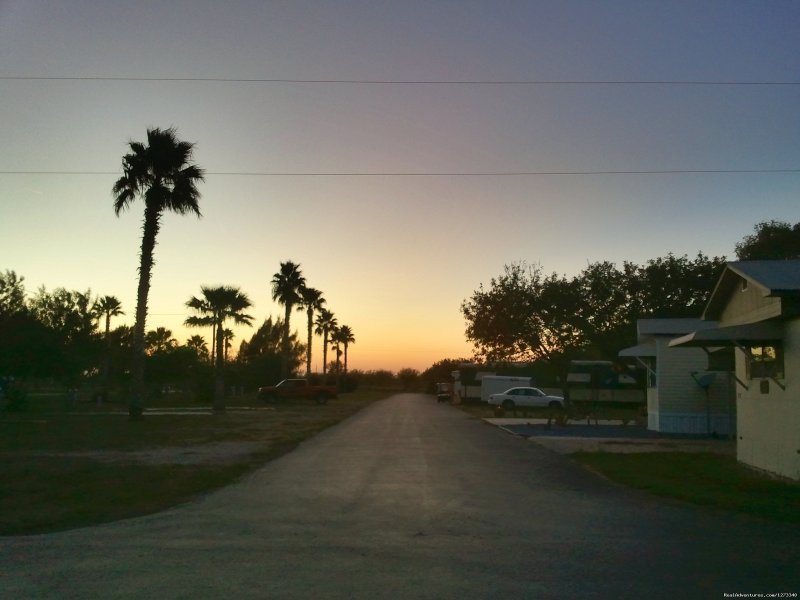 Sunset from Dacia street at Oleander Acres Resort | Spend Winter In The Sun At Oleander Acres Resort | Image #6/7 | 