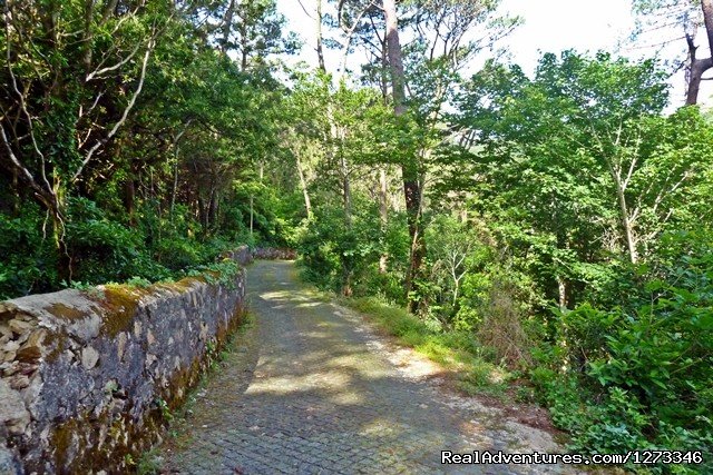 Trails Sintra | Atlantic Trails MTB 8D | Image #5/6 | 