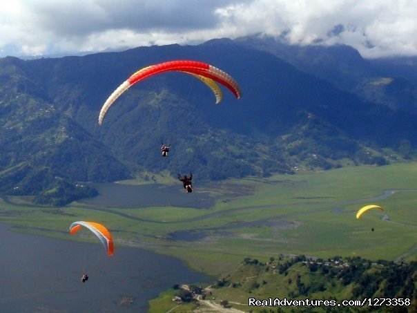 Paragliding | Pink Mountain Travels and Excursions Pvt Ltd | Image #3/13 | 