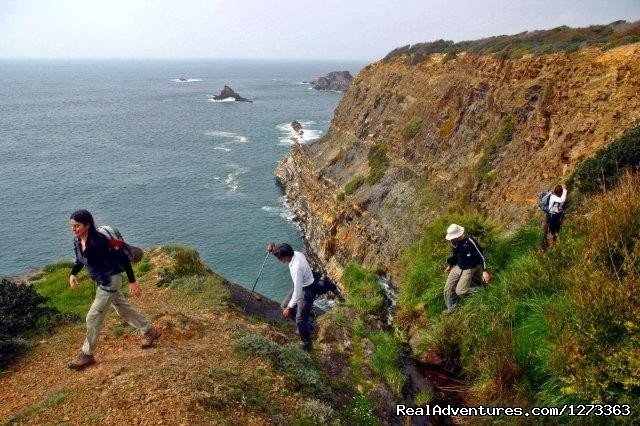 Amazing scenary | Alentejo Wild Coast Hike 7D | Image #5/14 | 