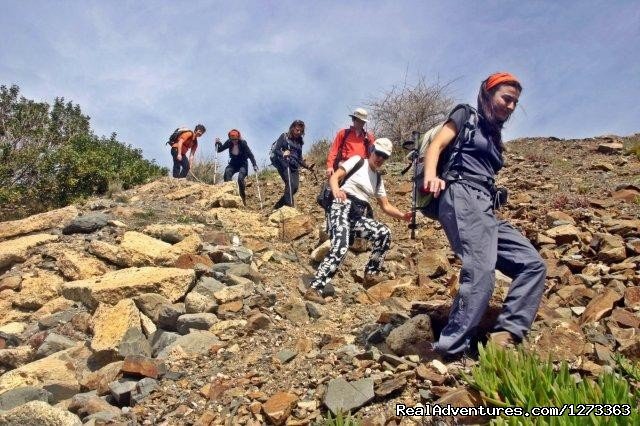 Cliff hiking | Alentejo Wild Coast Hike 7D | Image #10/14 | 