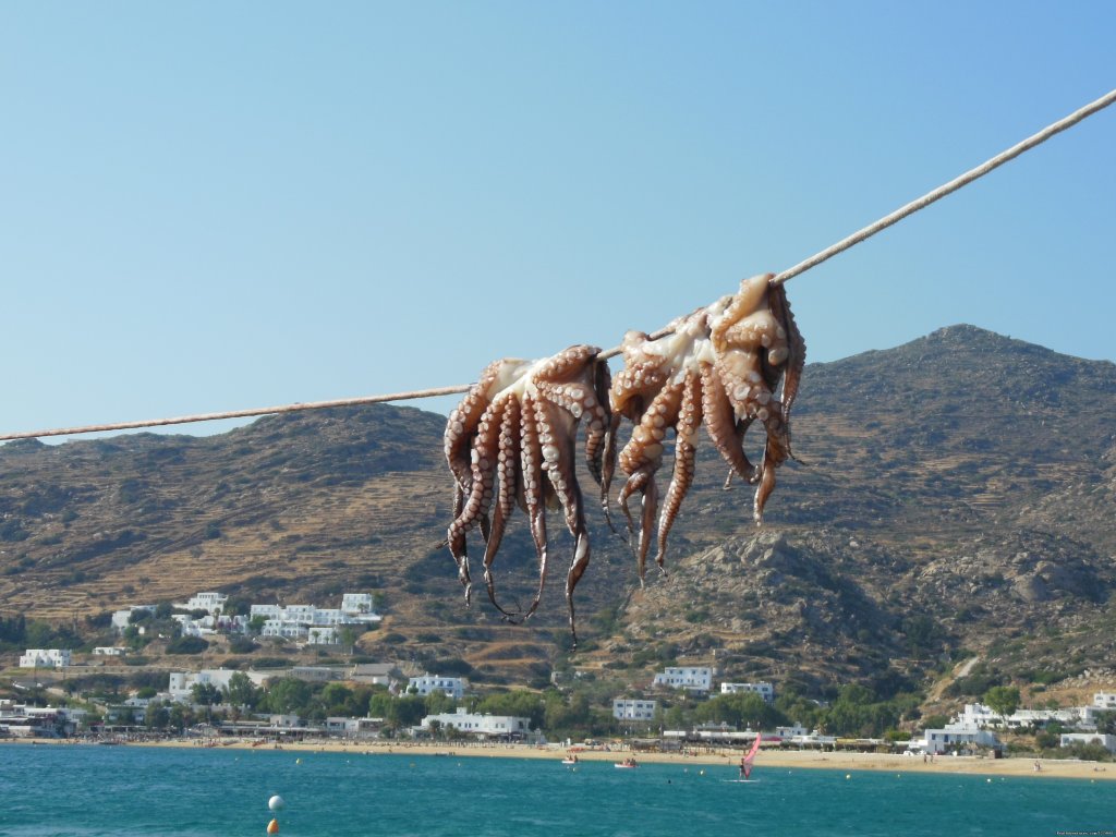 Ouzo with octapus. | Grazytravel: Tour mount Taygetos  by Bicycle (7 d) | Image #9/21 | 