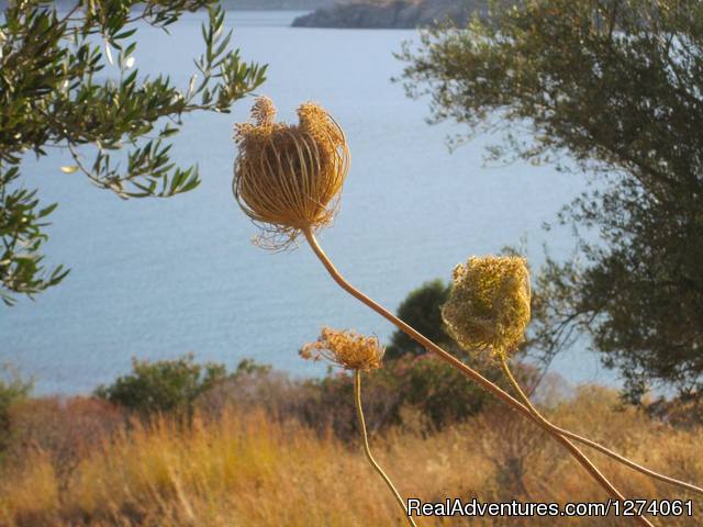 Grazytravel: Tour mount Taygetos  by Bicycle (7 d) Taygetos