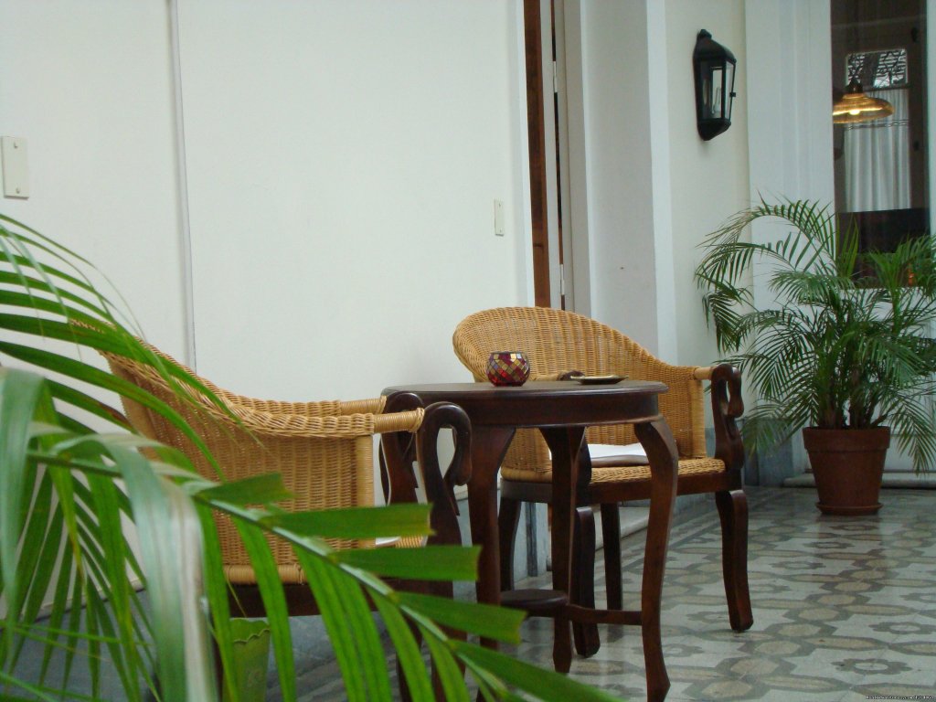 The first patio with palm trees | Charming Home Buenos Aires | Image #5/26 | 