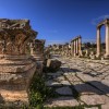 Travel in Jordan The Roman Road in Jerash