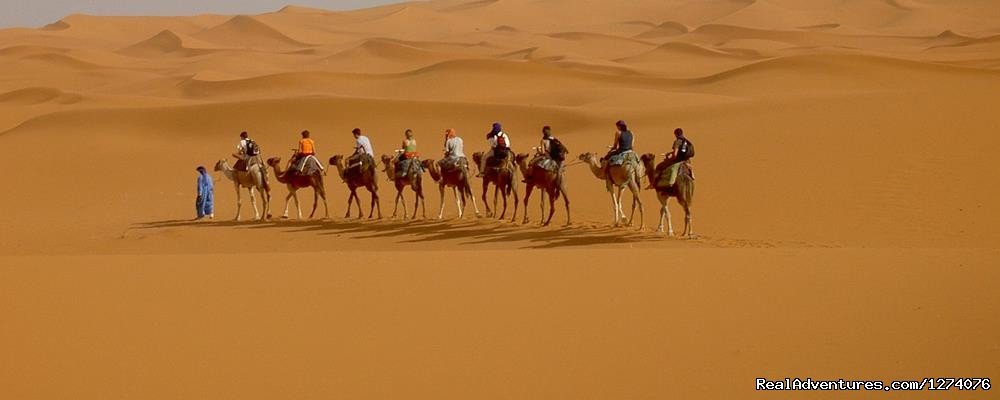 Camel Trek | Erg Chebbi Adventures | Image #2/3 | 