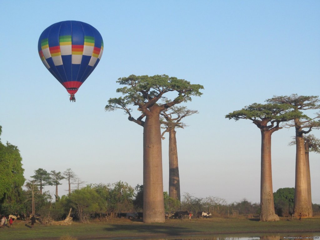 Imax filming at the Avenue of the Baobabs | Chez Maggie Hotel Morondava Madagascar | Image #4/8 | 
