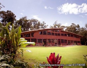 Relaxing North Shore getaway at the Utopium Estate | Haleiwa, Hawaii Hotels & Resorts | Hawaii Hotels & Resorts