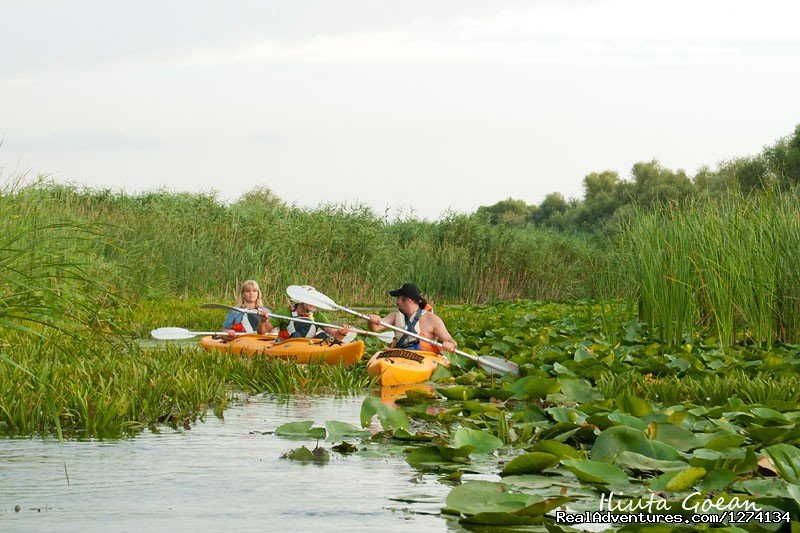 4 day Kayaking in Danube Delta Confort 2013 | Image #4/25 | 