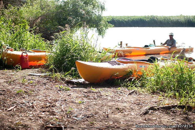4 day Kayaking in Danube Delta Confort 2013 | Image #8/25 | 