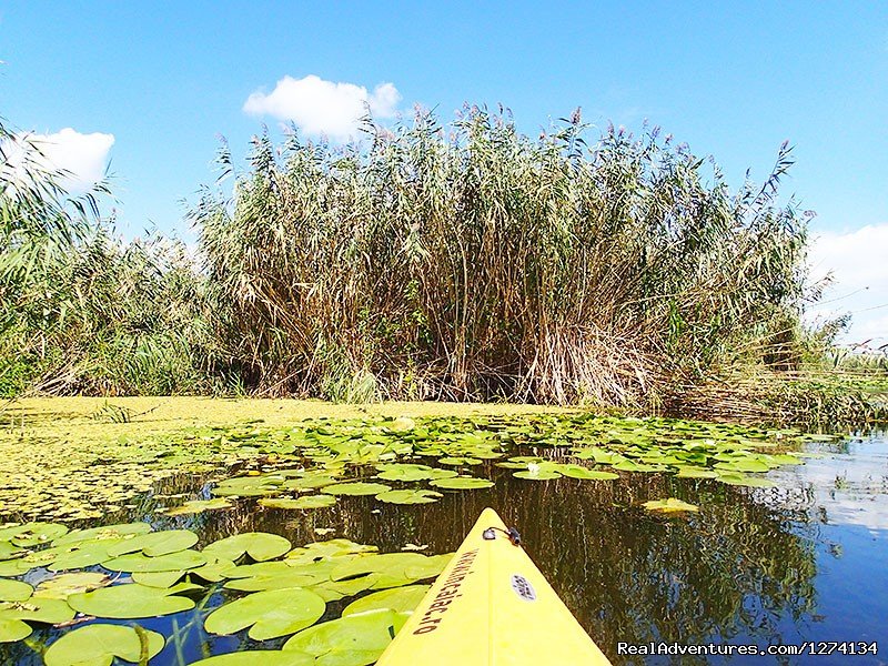 4 day Kayaking in Danube Delta Confort 2013 | Image #9/25 | 