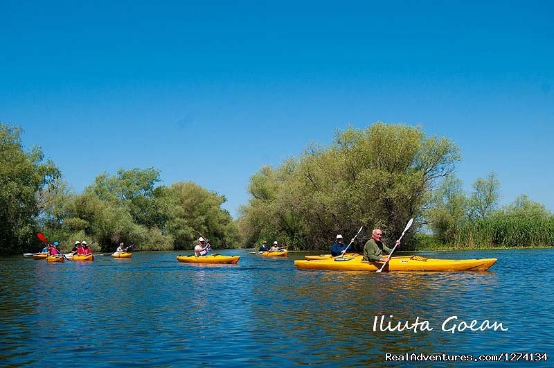 4 day Kayaking in Danube Delta Confort 2013 | Image #15/25 | 