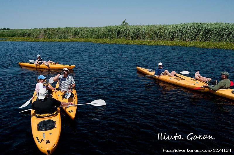 4 day Kayaking in Danube Delta Confort 2013 | Image #16/25 | 