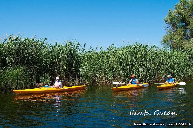 4 day Kayaking in Danube Delta Confort 2013 | Image #19/25 | 