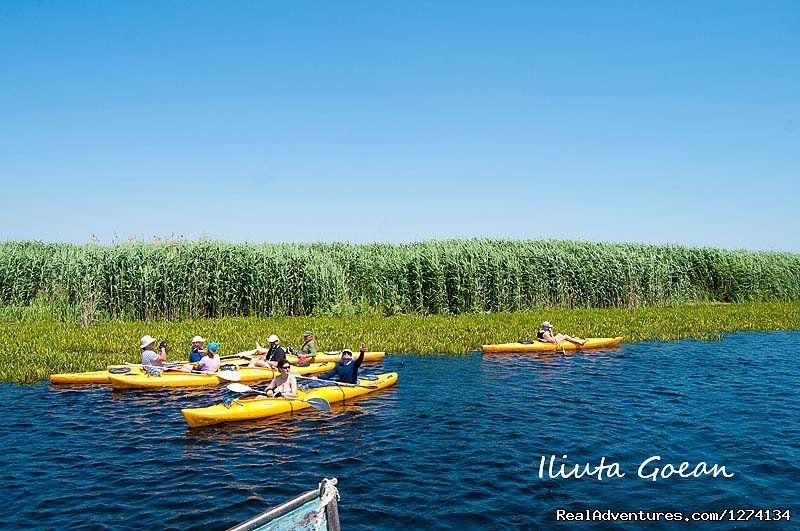 4 day Kayaking in Danube Delta Confort 2013 | Image #22/25 | 