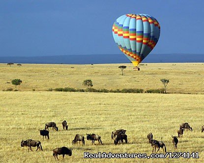 Balloon Safari | Inspiring your spirit of adventure | Image #4/5 | 