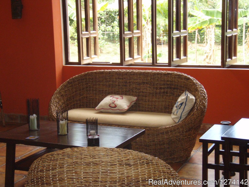 Back sitting area | Casa Dorado Bed & Breakfast | Image #6/11 | 