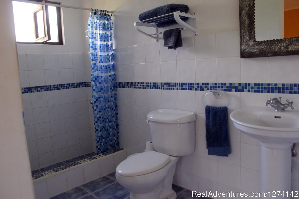 Standard bathroom | Casa Dorado Bed & Breakfast | Image #10/11 | 