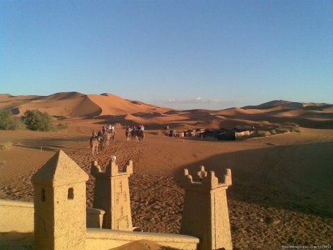 Camel caravans in Erg Chebbi dunes