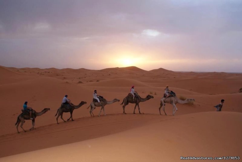 Camel Trekking | Morocco Safaris | Image #6/8 | 
