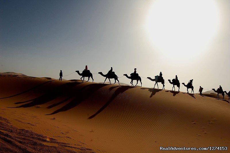 Camel trekking by sunrise | Morocco Safaris | Marrakech, Morocco | Sight-Seeing Tours | Image #1/8 | 