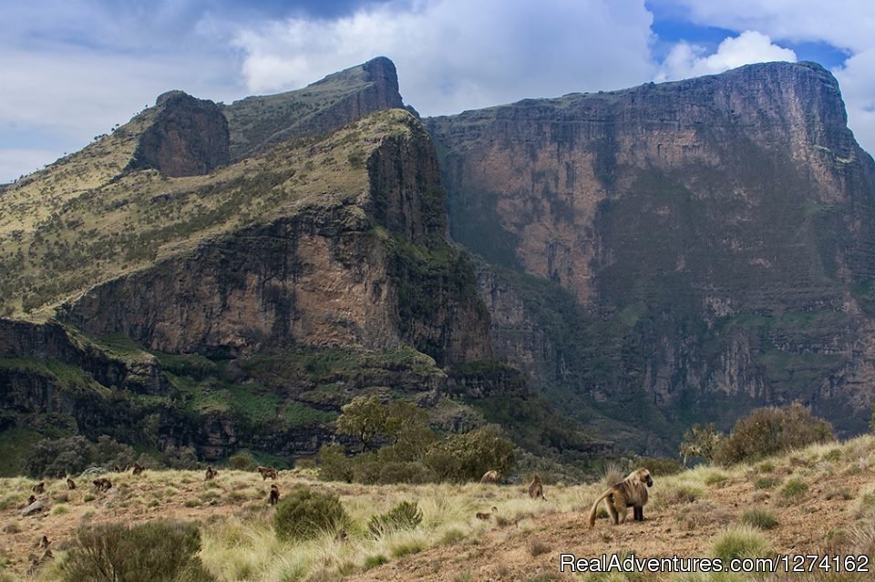 Northern Historic Route Ethiopia | Image #7/7 | 