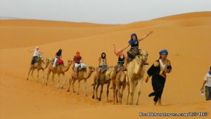 Desert Tours - Morocco Vacation -Holiday in Morocc | Marrakech, Morocco Wildlife & Safari Tours | Marrakesh, Morocco Nature & Wildlife