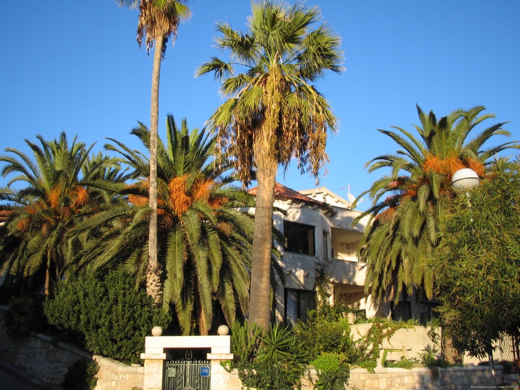 Villa Domus Marini+palm Trees | Seafront&beachfront exclusive Villa Domus Marini | Image #26/26 | 