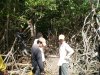 Mangrove Conservation Volunteer Work | Guayaquil, Ecuador
