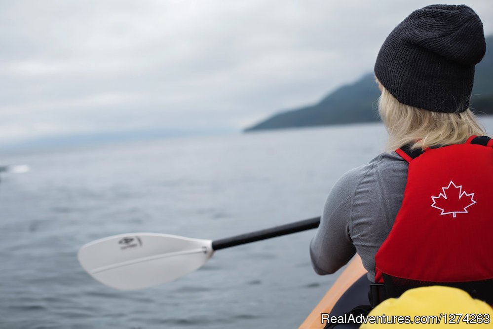 Kayaking in Johnstone Strait | Wildcoast Adventures - kayak vacations & adventure | Quathiaski Cove, British Columbia  | Kayaking & Canoeing | Image #1/19 | 