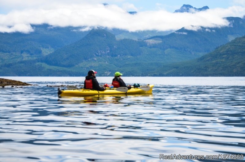Sea Kayaking in British Columbia | Wildcoast Adventures - kayak vacations & adventure | Image #6/19 | 