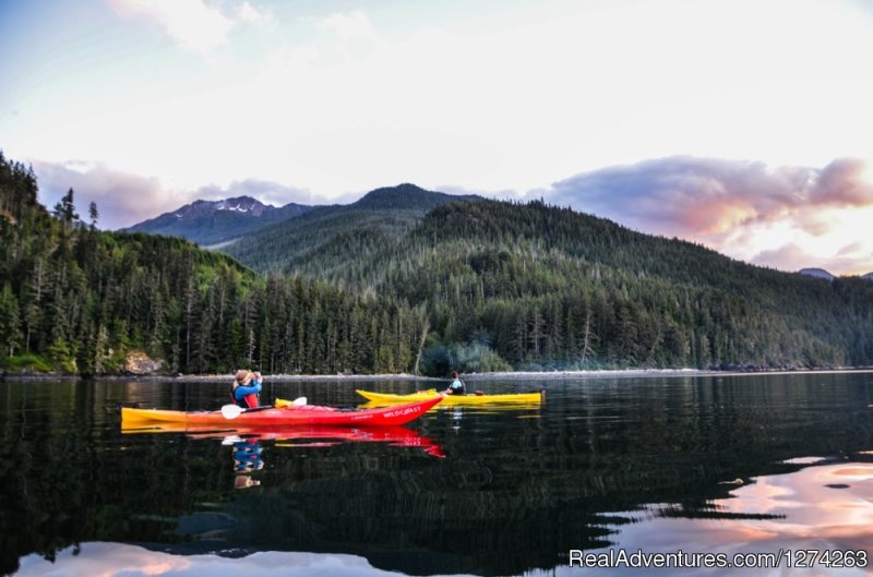 Ocean Kayaking British Columbia Coastline | Wildcoast Adventures - kayak vacations & adventure | Image #8/19 | 