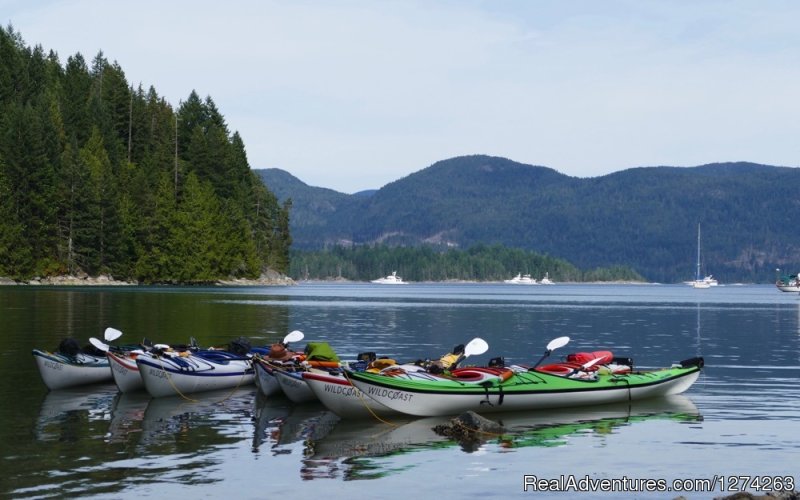 Kayaking Read Island British Columbia Canada | Wildcoast Adventures - kayak vacations & adventure | Image #16/19 | 