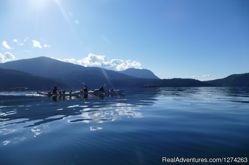 Desolation Sound, BC Sea Kayaking | Wildcoast Adventures - kayak vacations & adventure | Image #17/19 | 