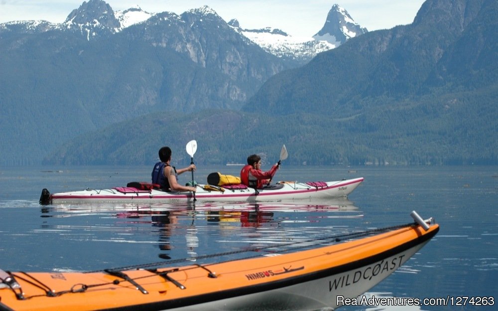 Kayaking in beautiful Desolation Sound British Columbia | Wildcoast Adventures - kayak vacations & adventure | Image #19/19 | 