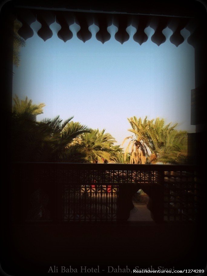 Balcony View | Ali Baba Hotel Dahab | Image #15/26 | 