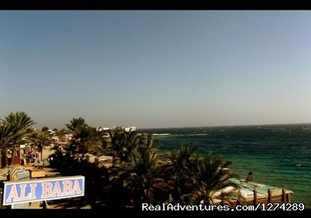 View From Hotel Terrace | Ali Baba Hotel Dahab | Dahab, Egypt | Hotels & Resorts | Image #1/26 | 